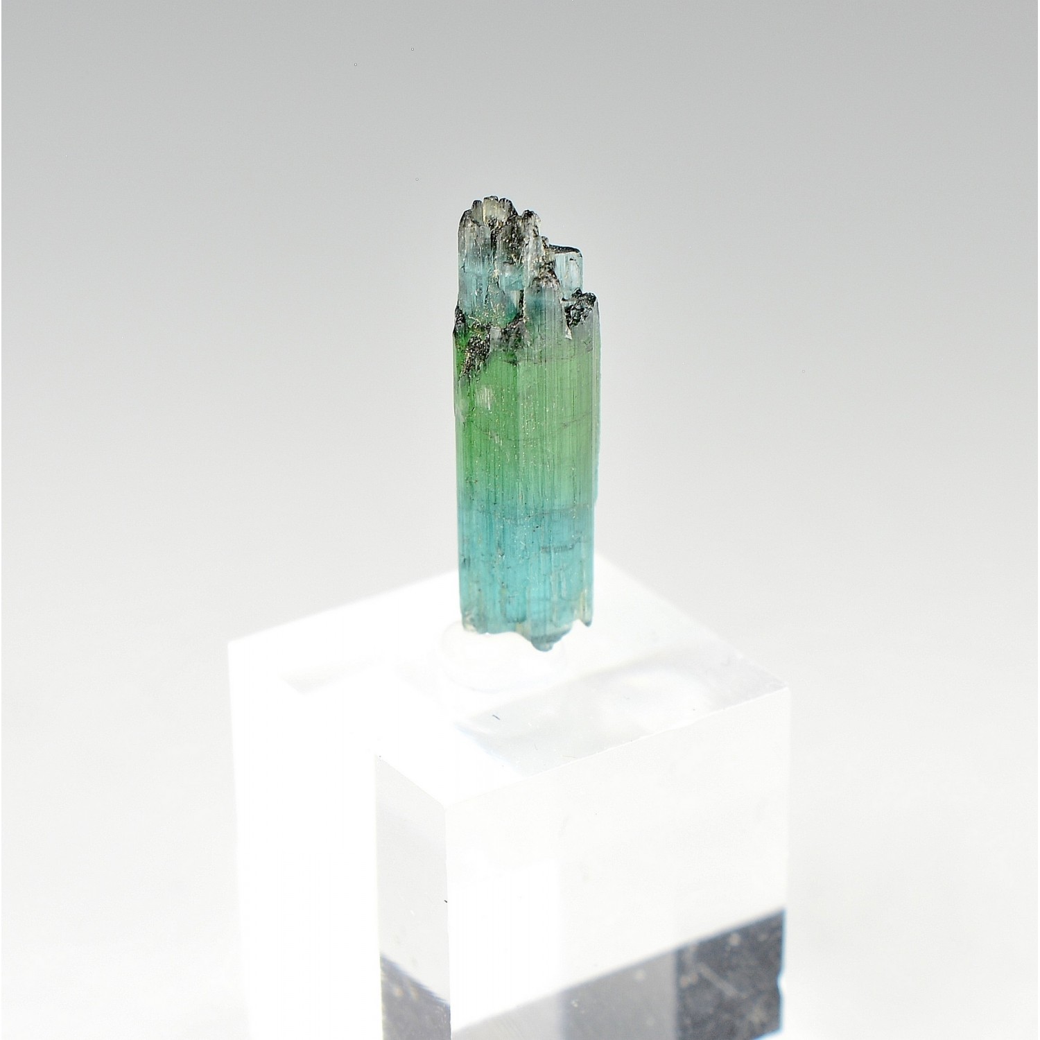 Tourmaline elbaite var. indicolite - Mine Santa Rosa, Itambacuri, Minas Gerais, Brésil