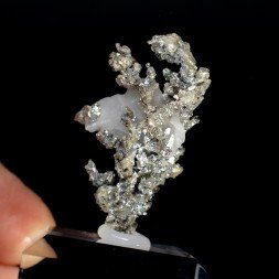 Argent natif sur calcite - Mine Bouismas, Bou-Azzer, Maroc