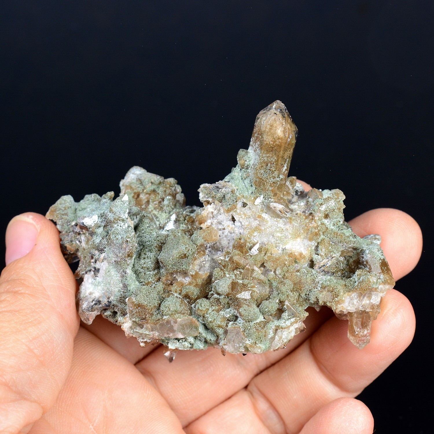 Quartz à chlorite et anatases - Massif de la Lauzière, Savoie, France.