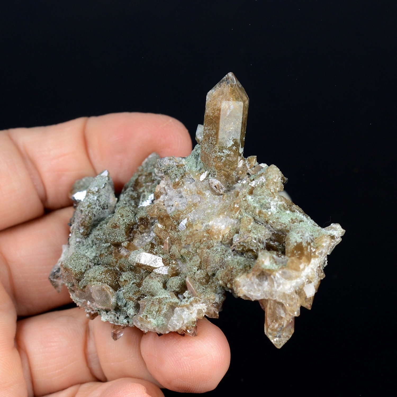 Chlorite quartz and anatase - Lauzière Massif, Savoie, France.