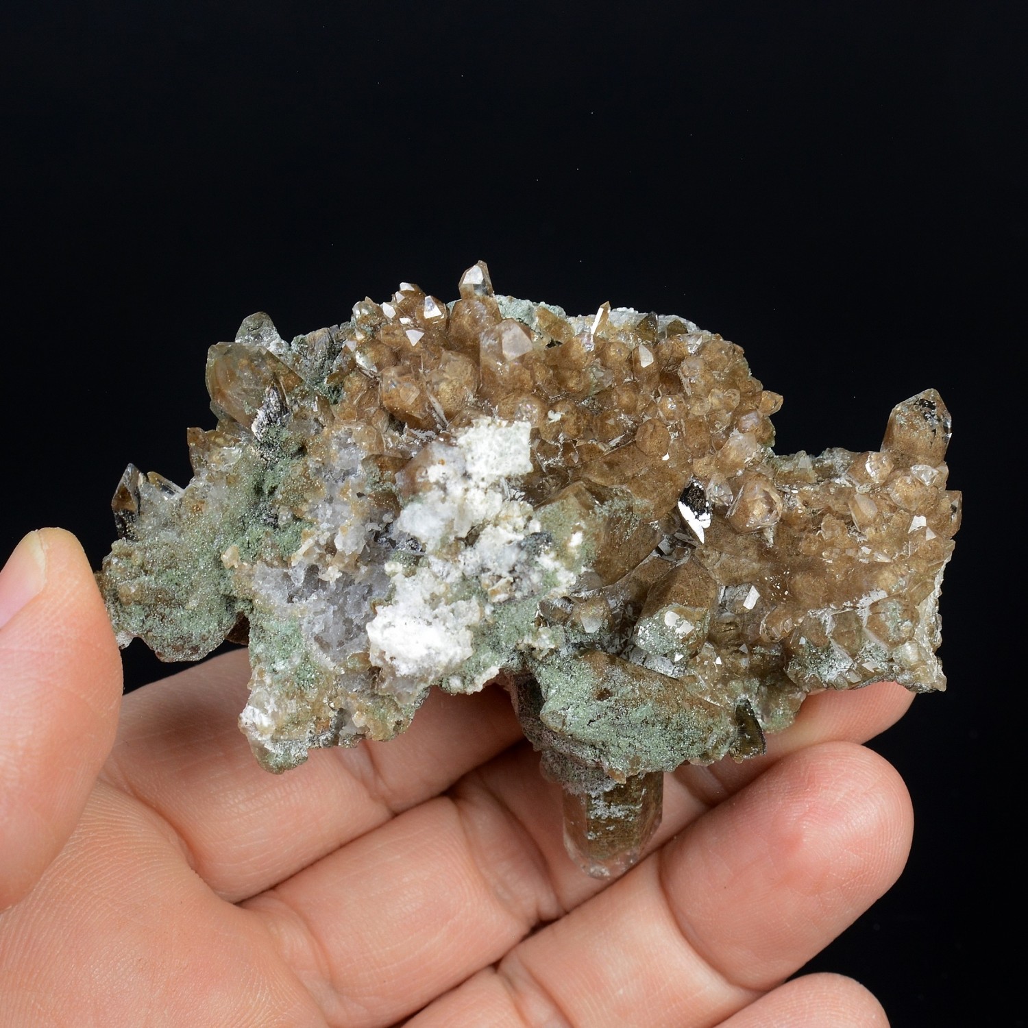 Chlorite quartz and anatase - Lauzière Massif, Savoie, France.