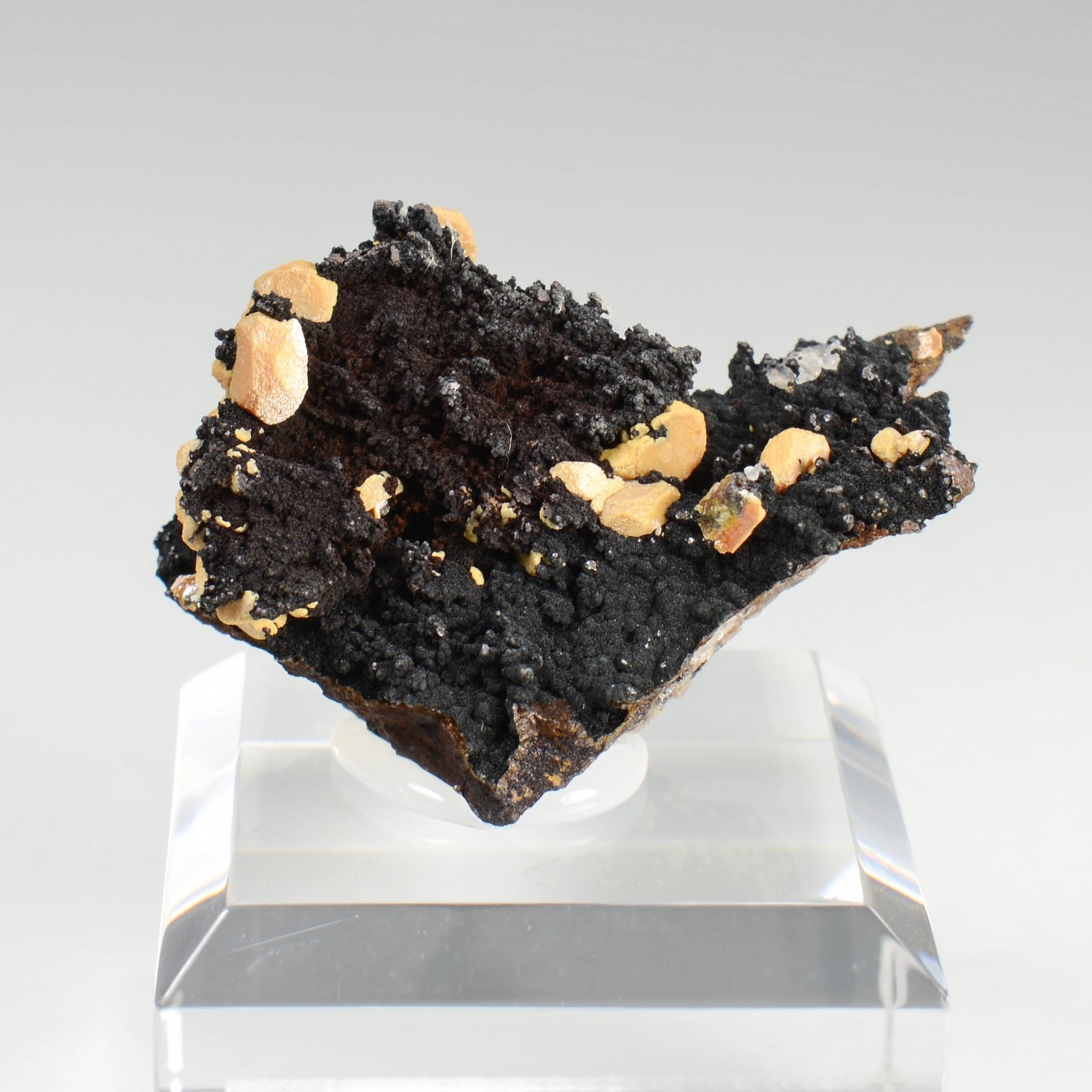 Vanadinite - phosphohedyphane jaune sur goethite - Taouz, Maroc