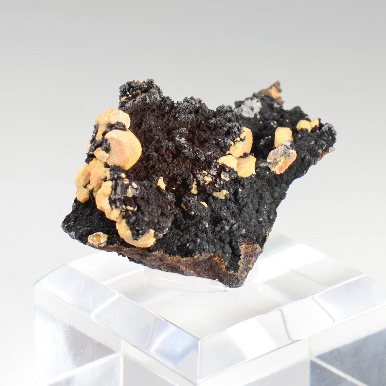 Vanadinite - yellow phosphohedyphane on goethite - Taouz, Morocco