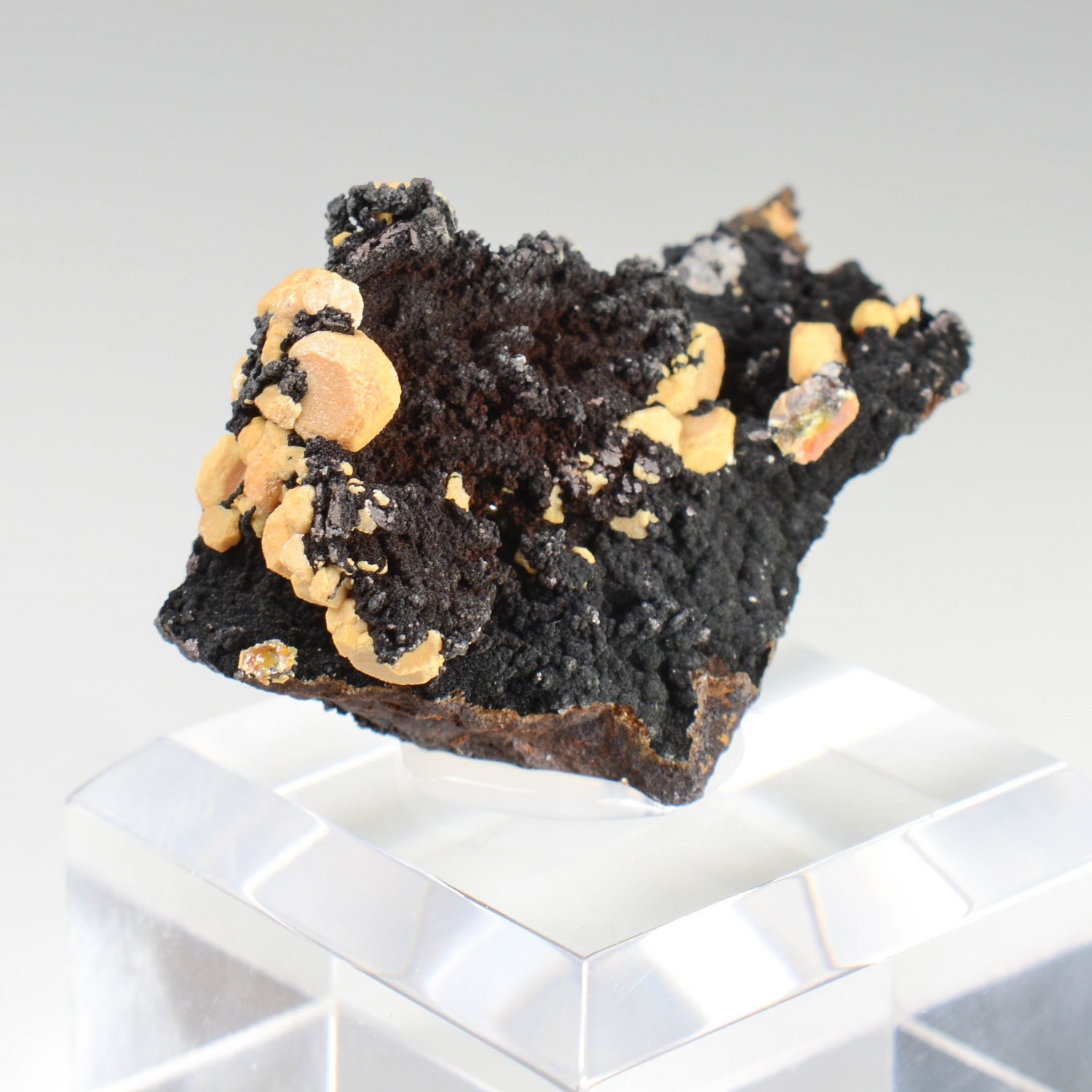 Vanadinite - phosphohedyphane jaune sur goethite - Taouz, Maroc