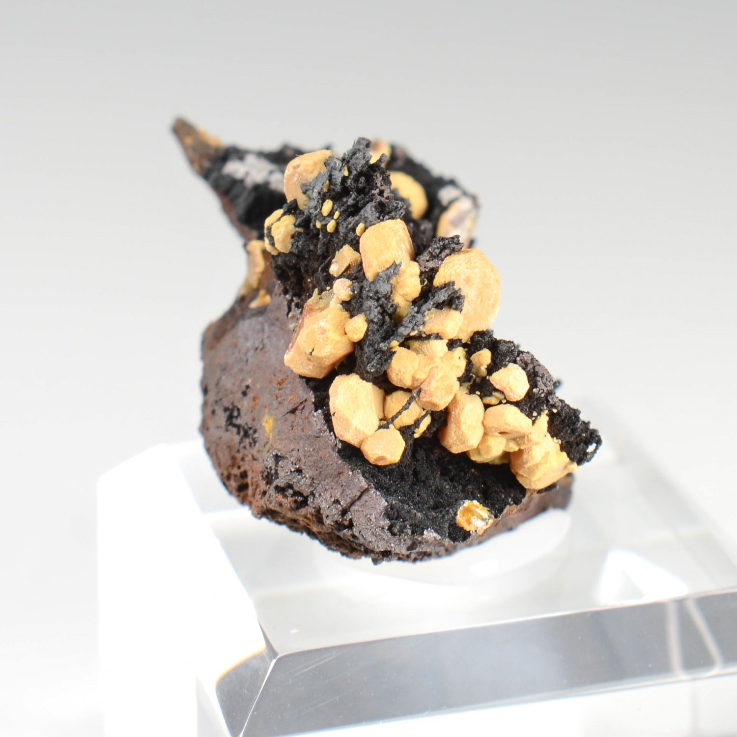 Vanadinite - phosphohedyphane jaune sur goethite - Taouz, Maroc