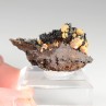 Vanadinite - phosphohedyphane jaune sur goethite - Taouz, Maroc