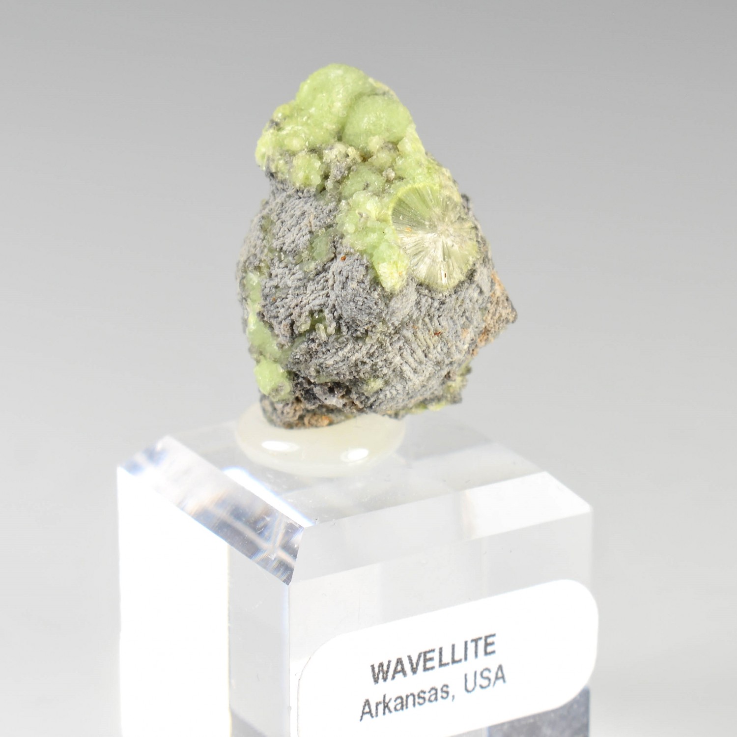 Wavellite - Mauldin, Arkansas, Etats-Unis