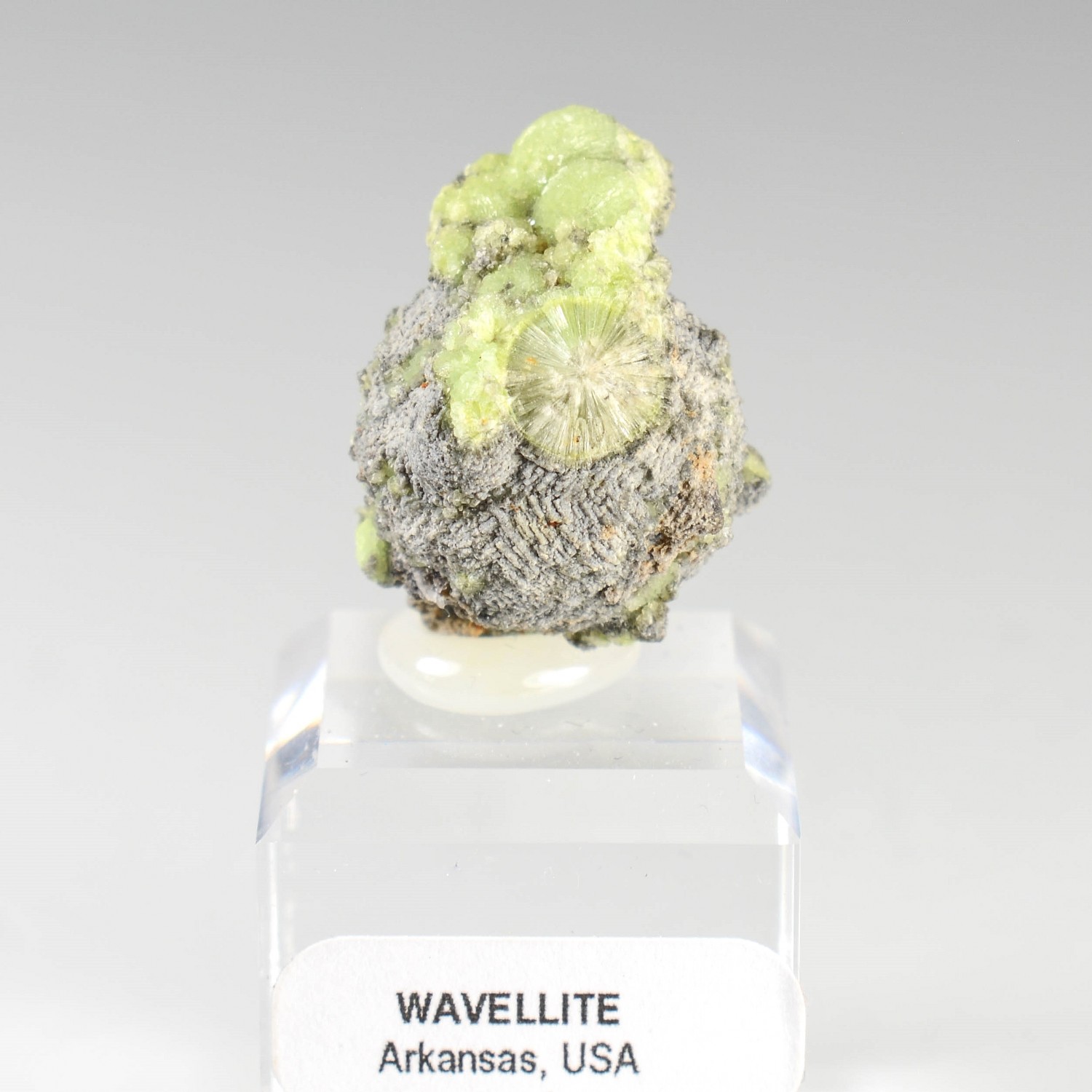 Wavellite - Mauldin, Arkansas, Etats-Unis