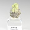 Wavellite - Mauldin, Arkansas, Etats-Unis