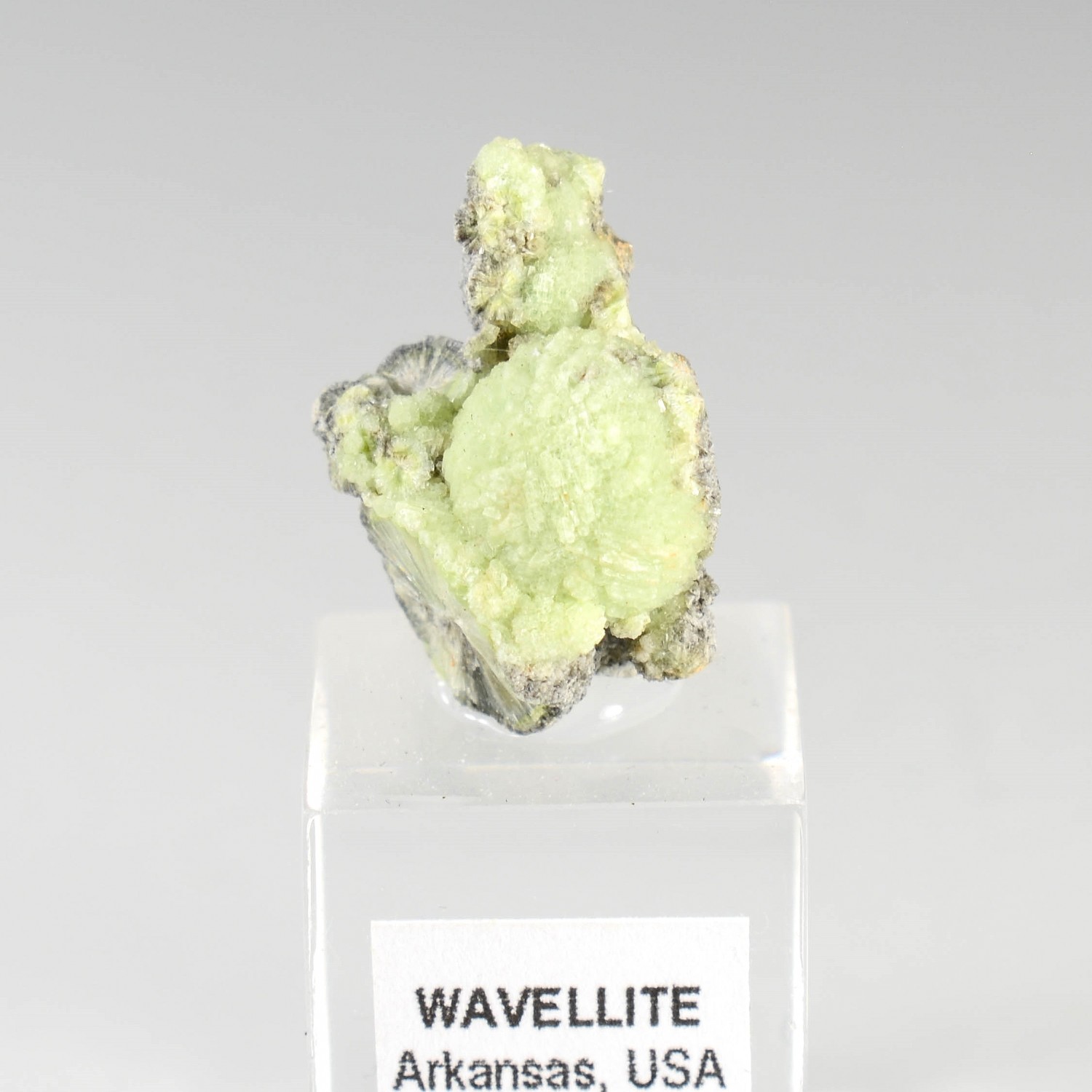 Wavellite - Mauldin, Arkansas, USA