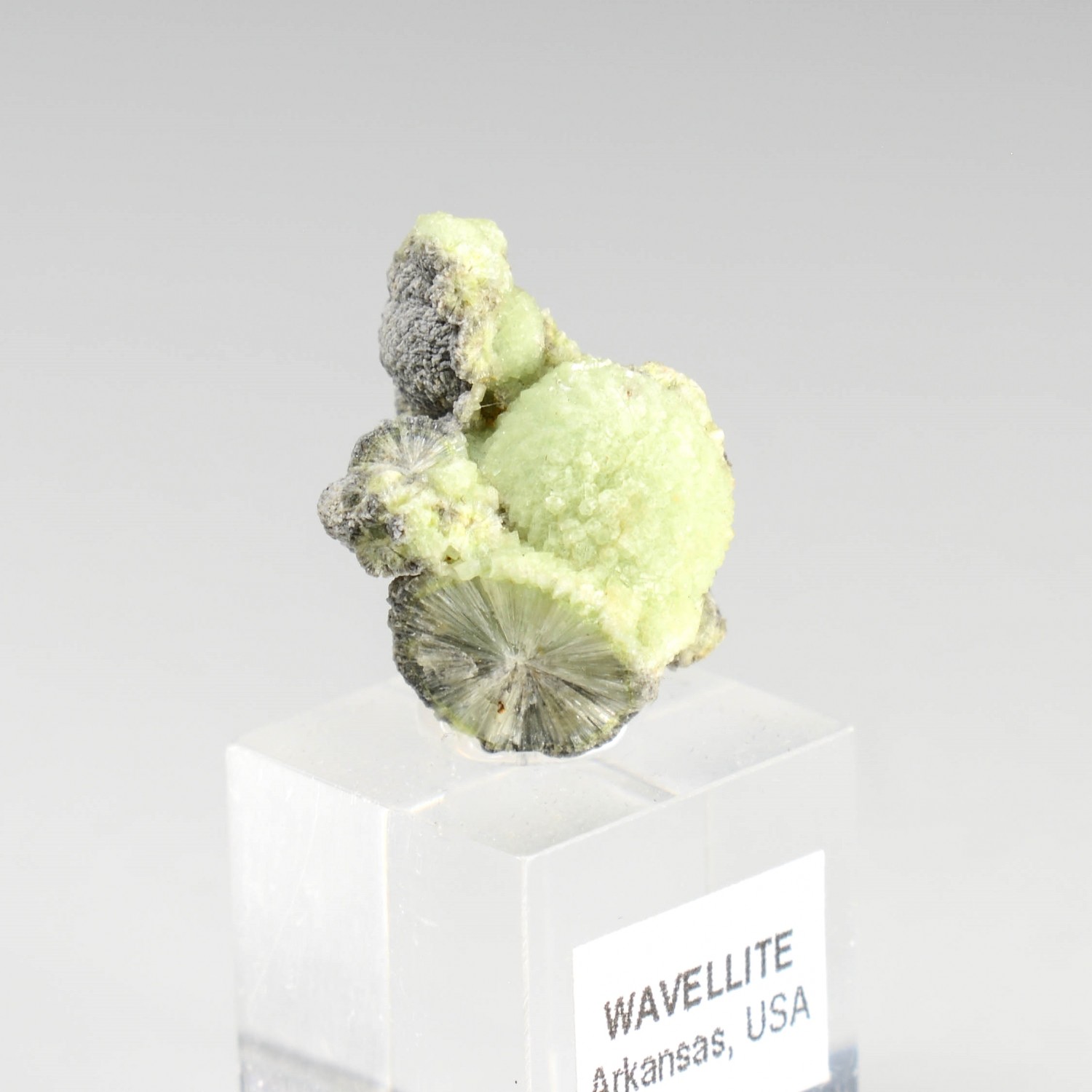 Wavellite - Mauldin, Arkansas, USA