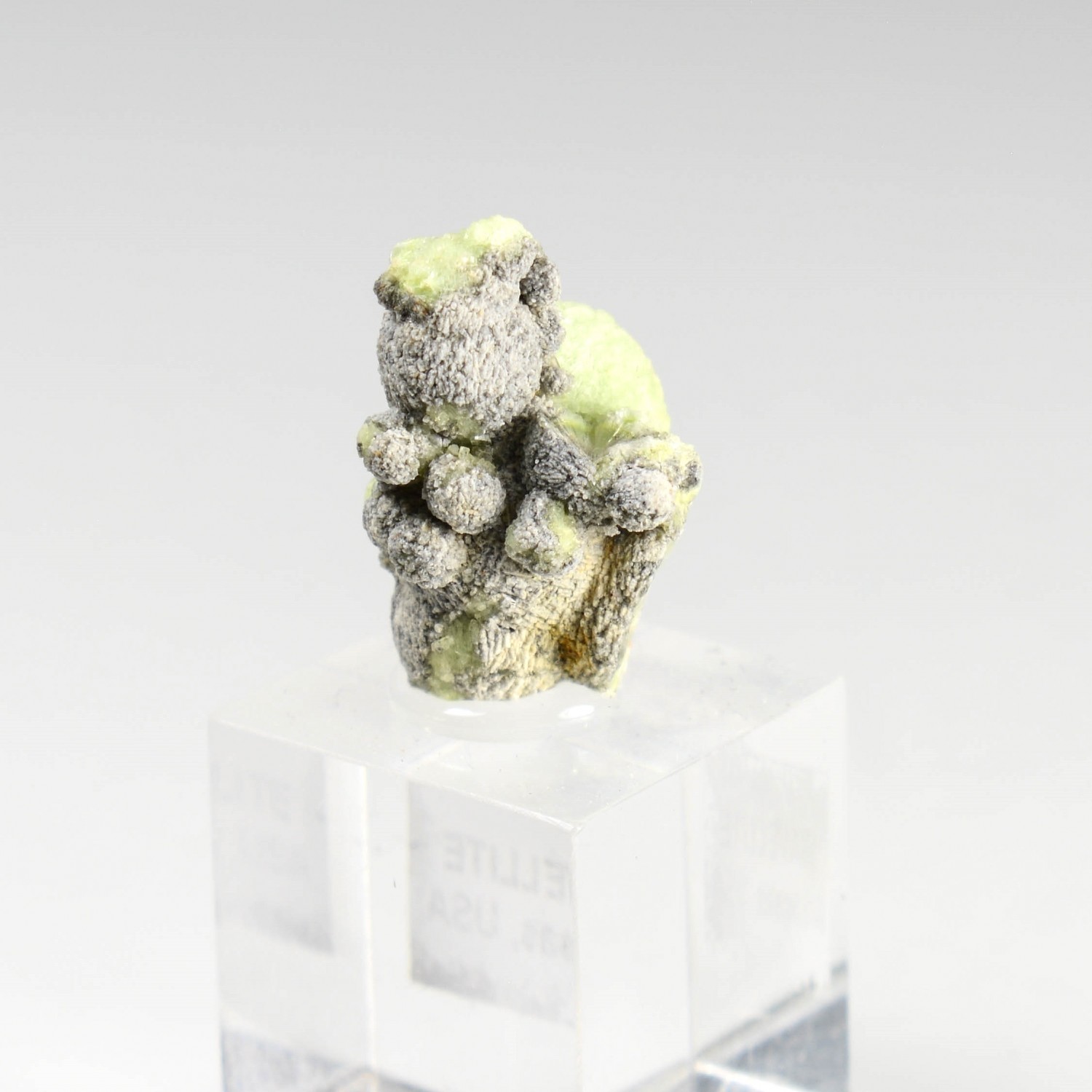 Wavellite - Mauldin, Arkansas, Etats-Unis