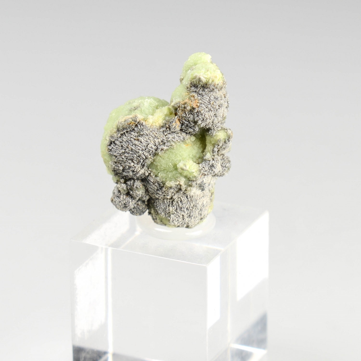 Wavellite - Mauldin, Arkansas, Etats-Unis