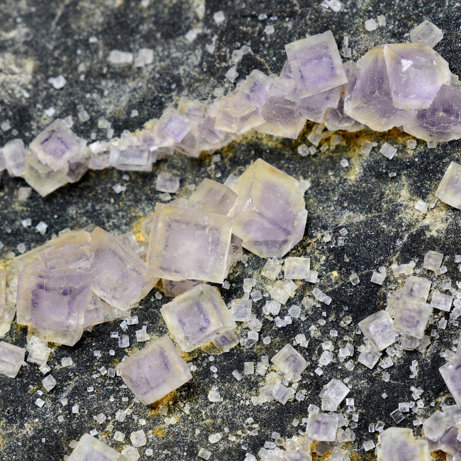 Fluorine - Arbouet, Pyrénées-Atlantiques, France