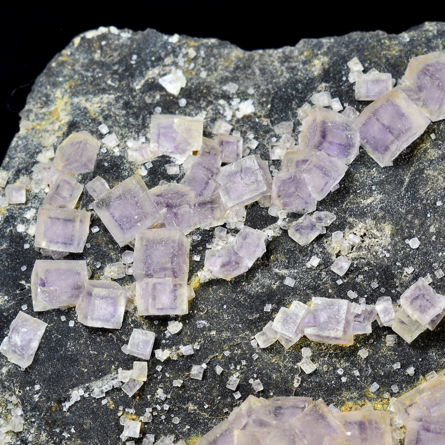 Fluorine - Arbouet, Pyrénées-Atlantiques, France