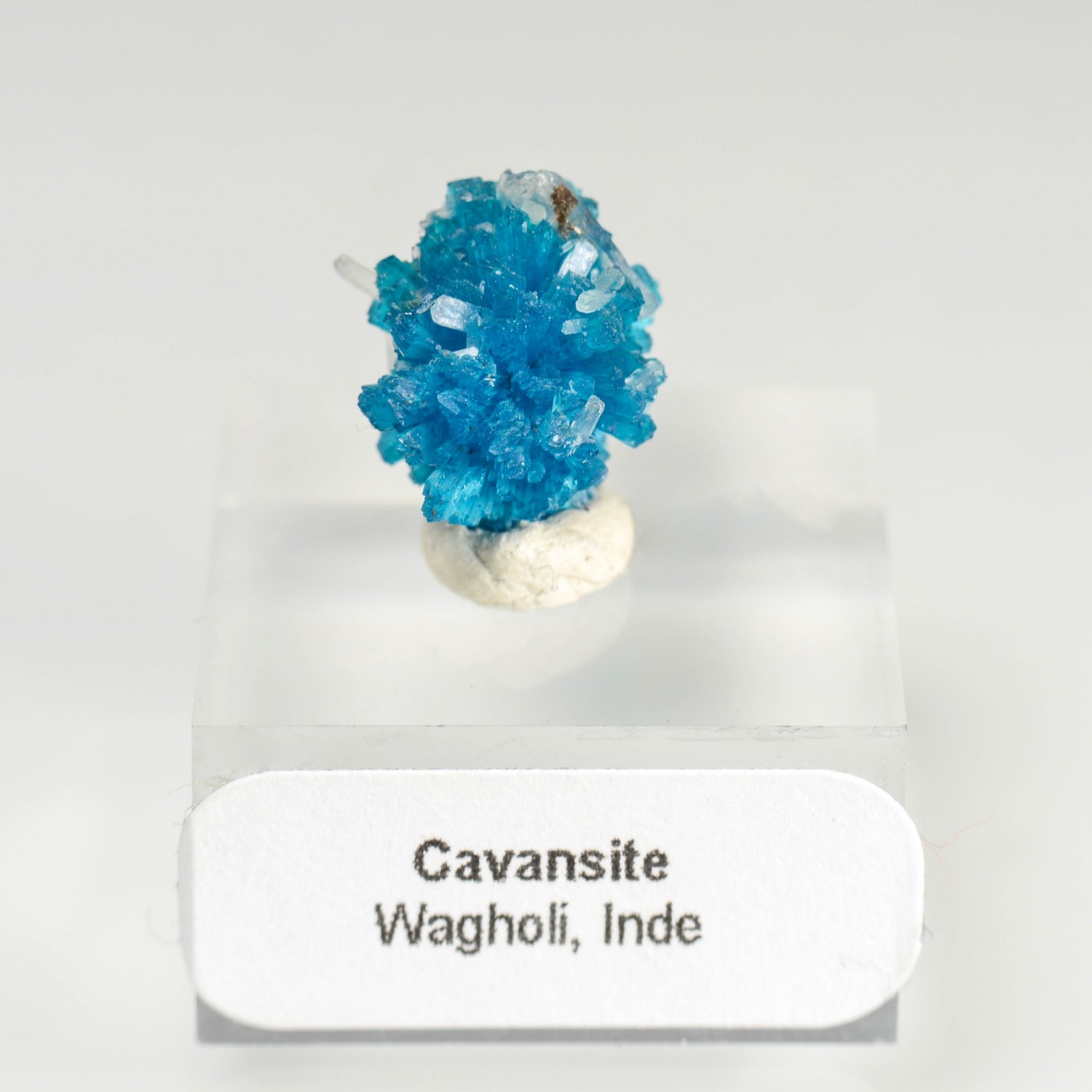 Cavansite - Carrières de Wagholi, district de Poona, Maharashtra, Inde