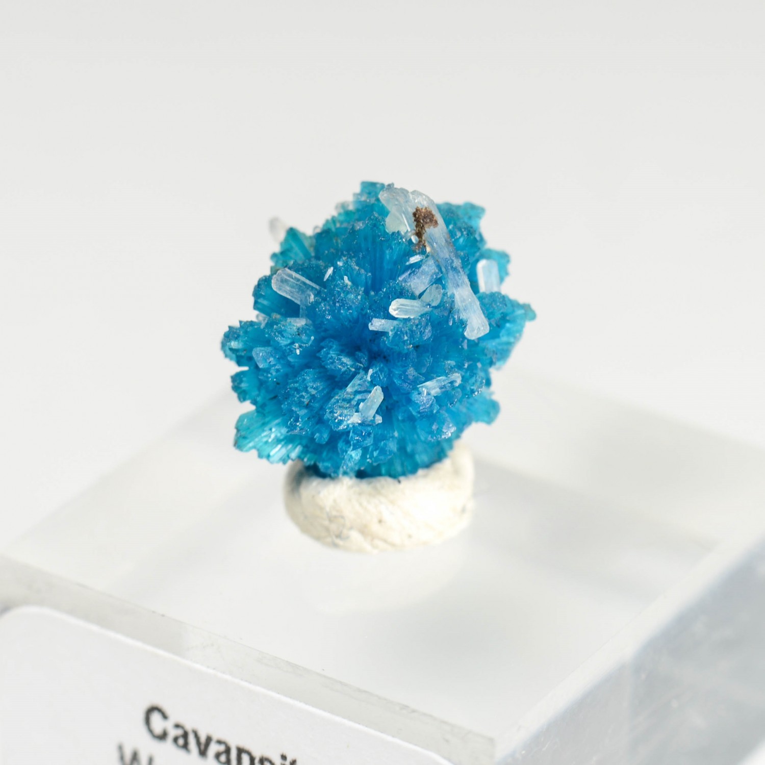 Cavansite - Carrières de Wagholi, district de Poona, Maharashtra, Inde