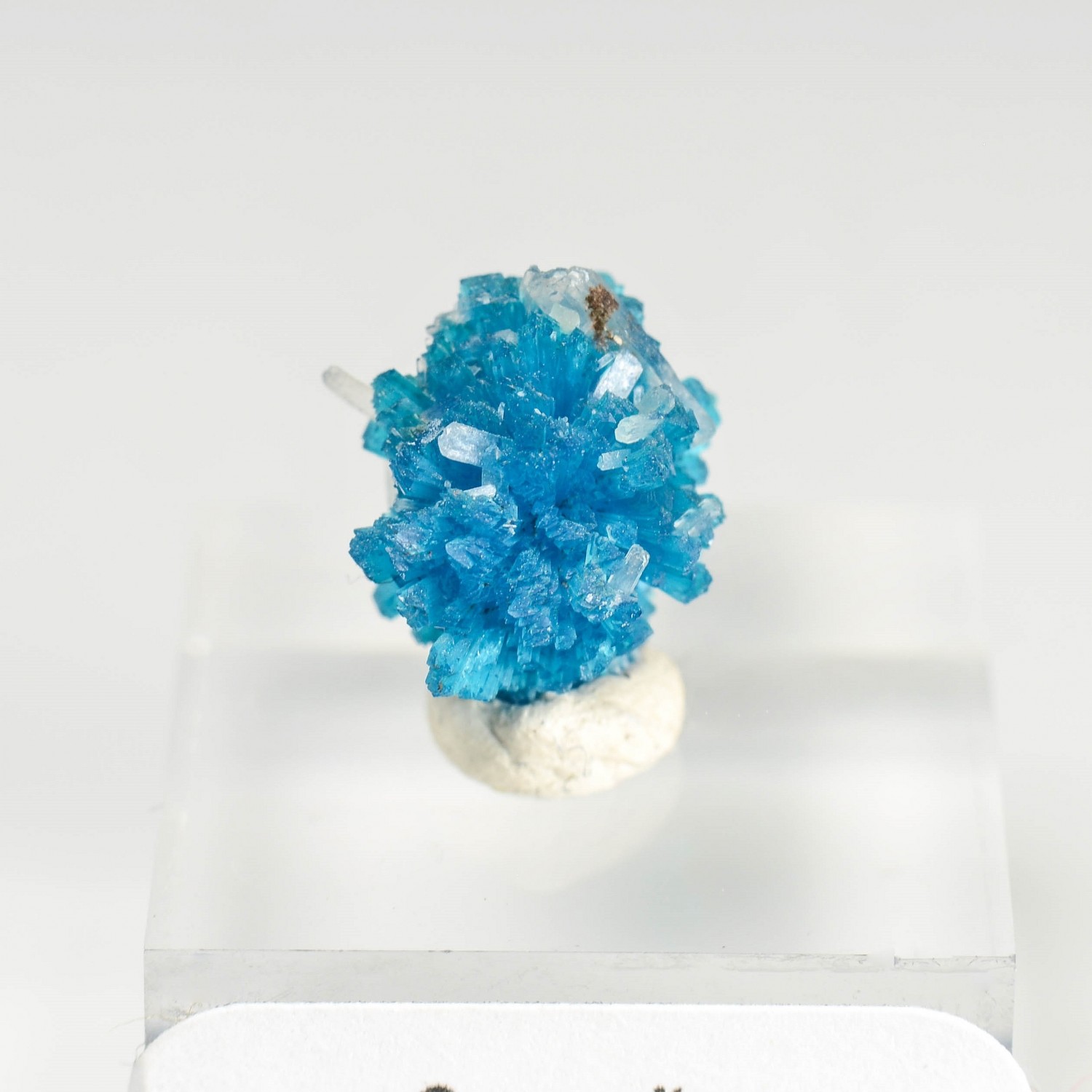 Cavansite - Carrières de Wagholi, district de Poona, Maharashtra, Inde