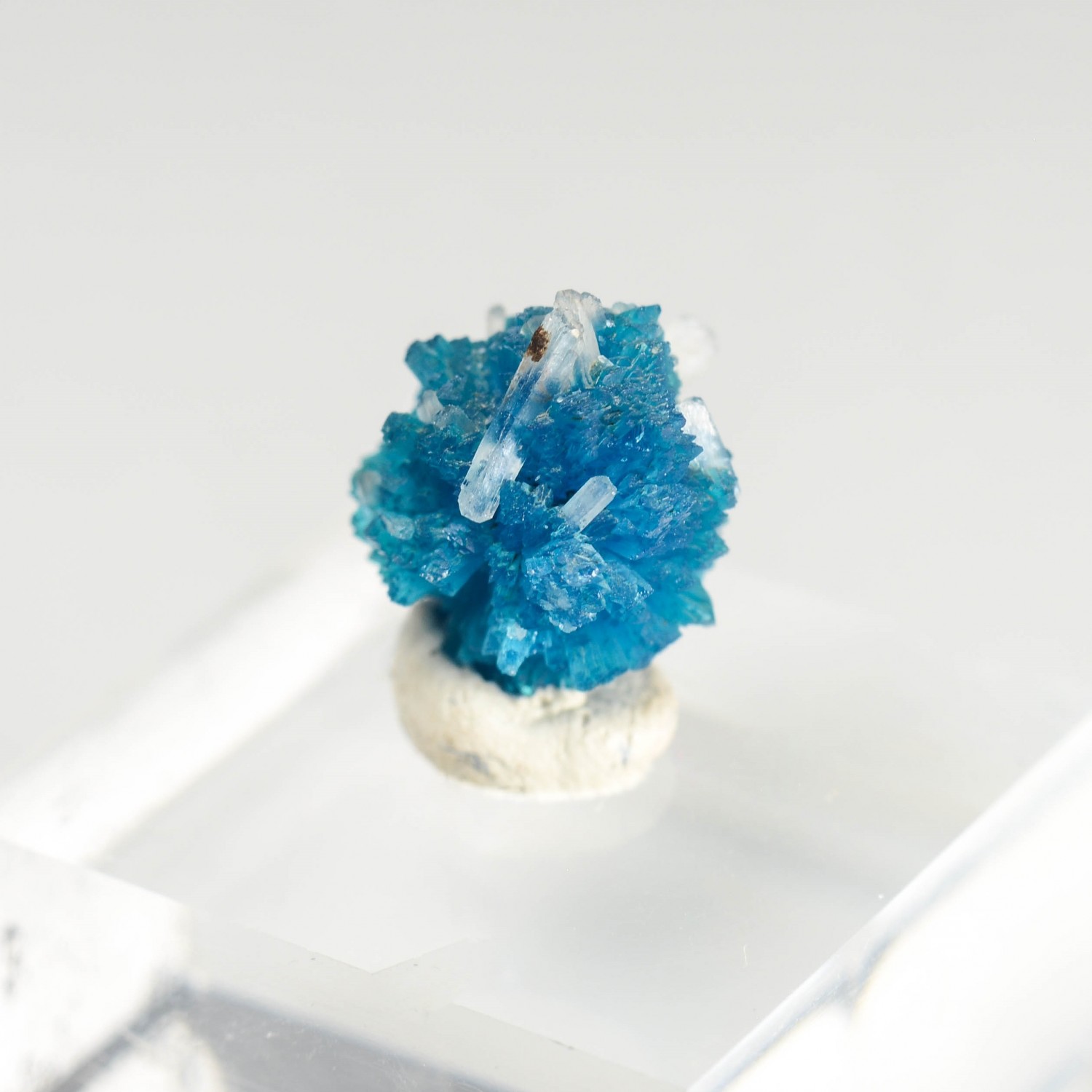 Cavansite - Carrières de Wagholi, district de Poona, Maharashtra, Inde