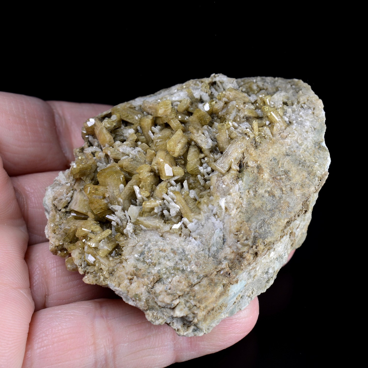 Epidote et diopside - Vallée d'Aoste, Italie.