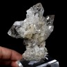 Quartz, chlorite, calcite - Plan du Lac, Oisans, Isère, France.