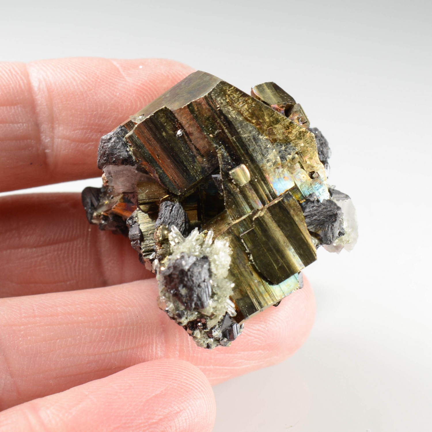 Pyrite and sphalerite - Borieva Mine, Madan, Bulagarie