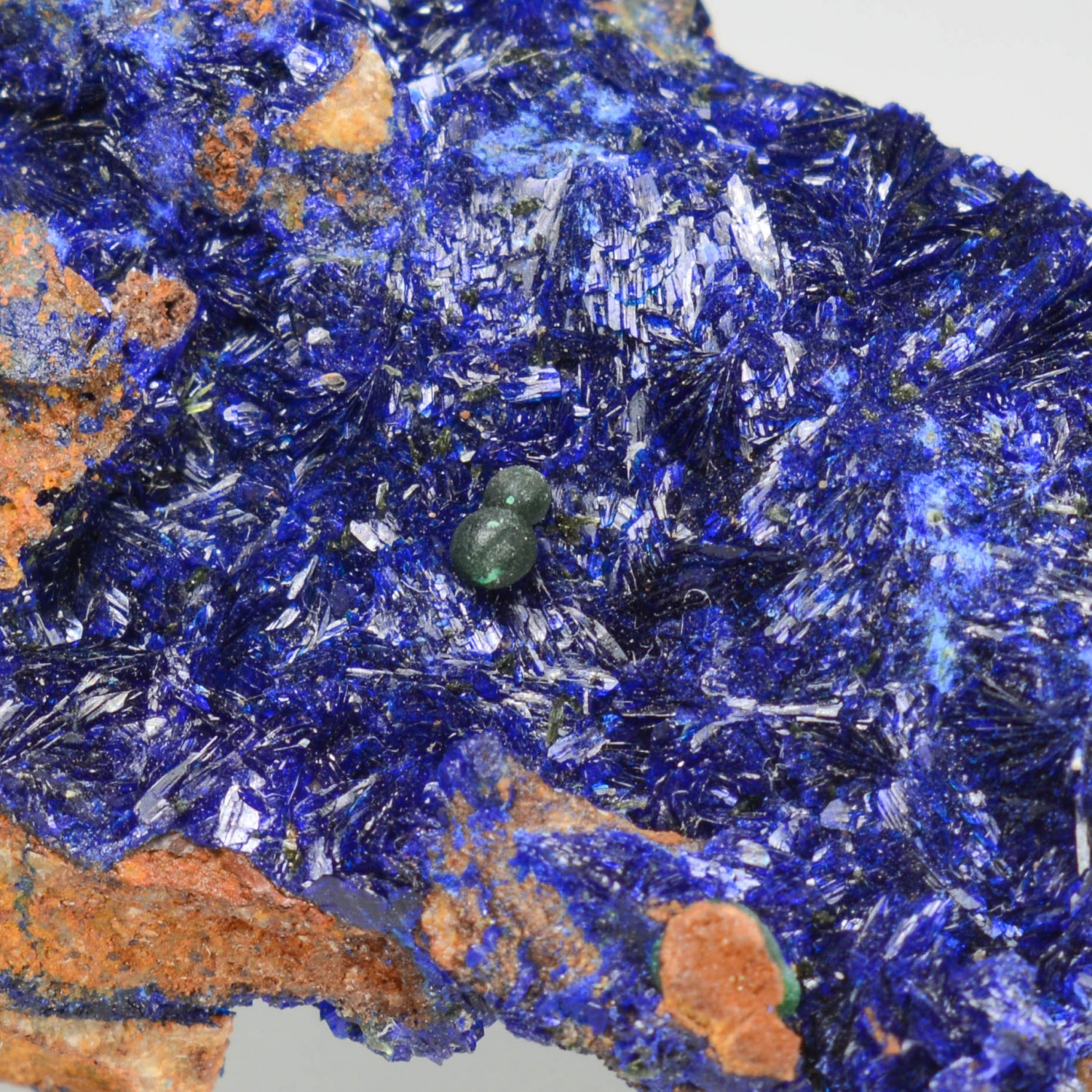 Azurite and malachite - Cap Garonne, Le Pradet, Var, France