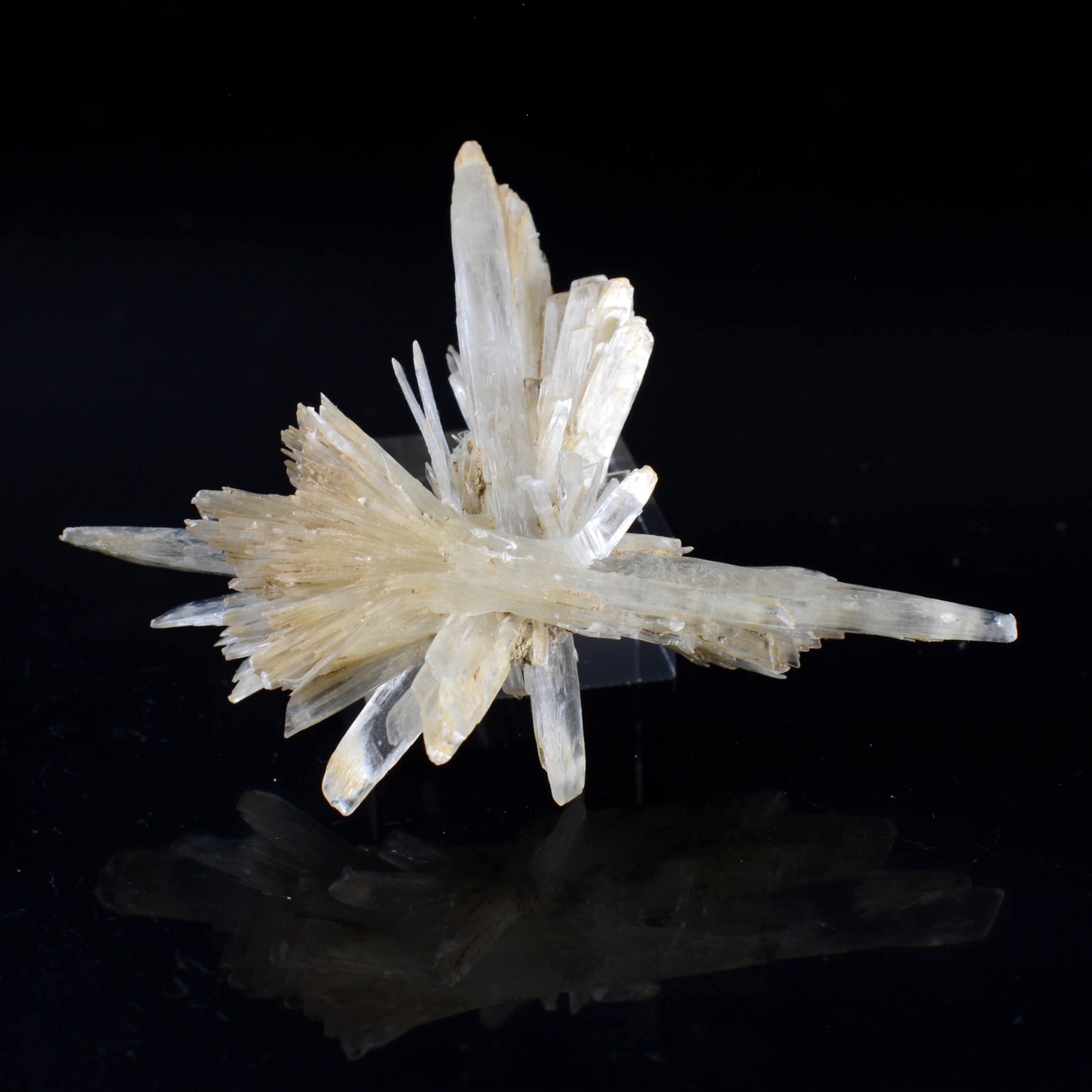 Gypsum - Angervilliers, Essonne, France