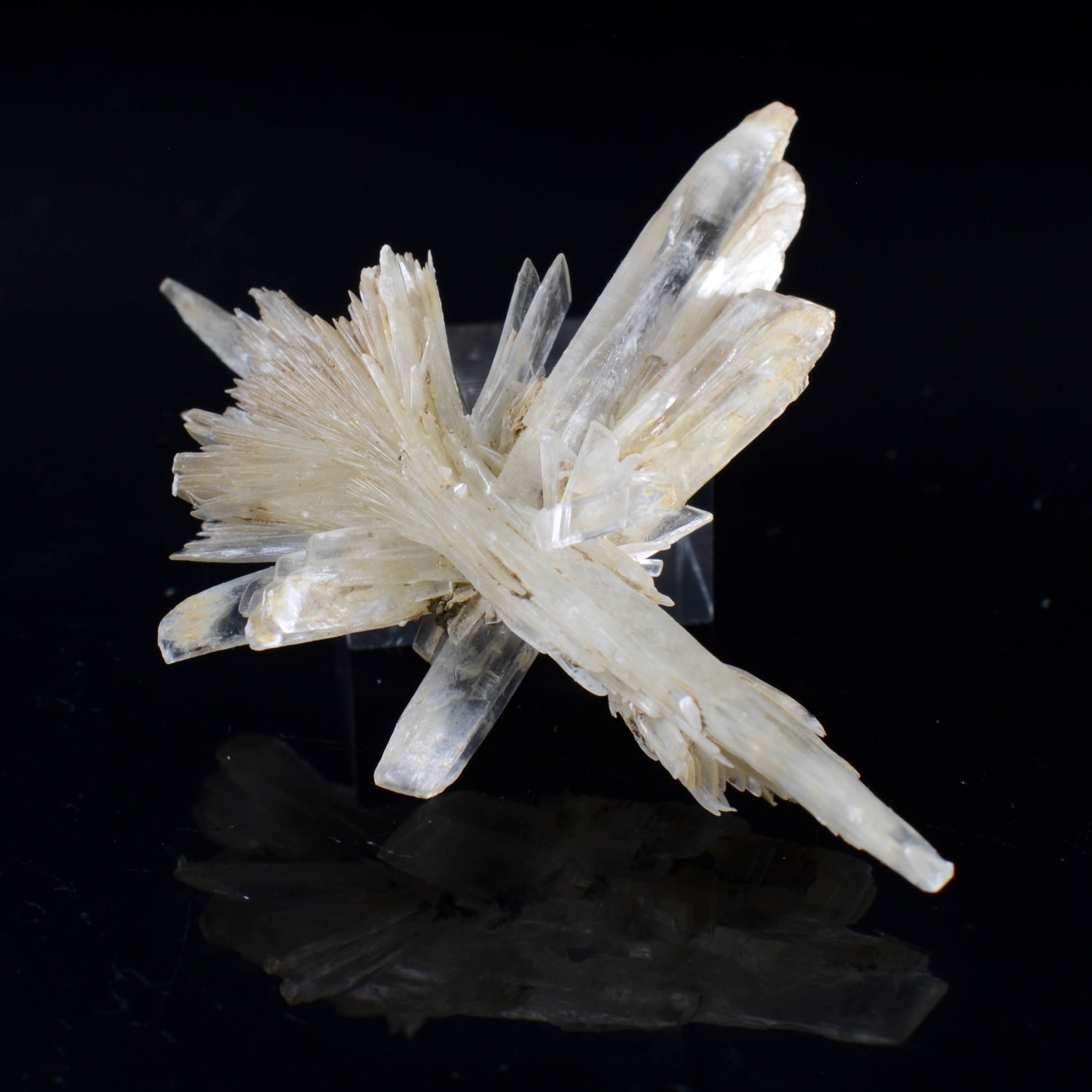 Gypsum - Angervilliers, Essonne, France