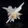 Gypsum - Angervilliers, Essonne, France