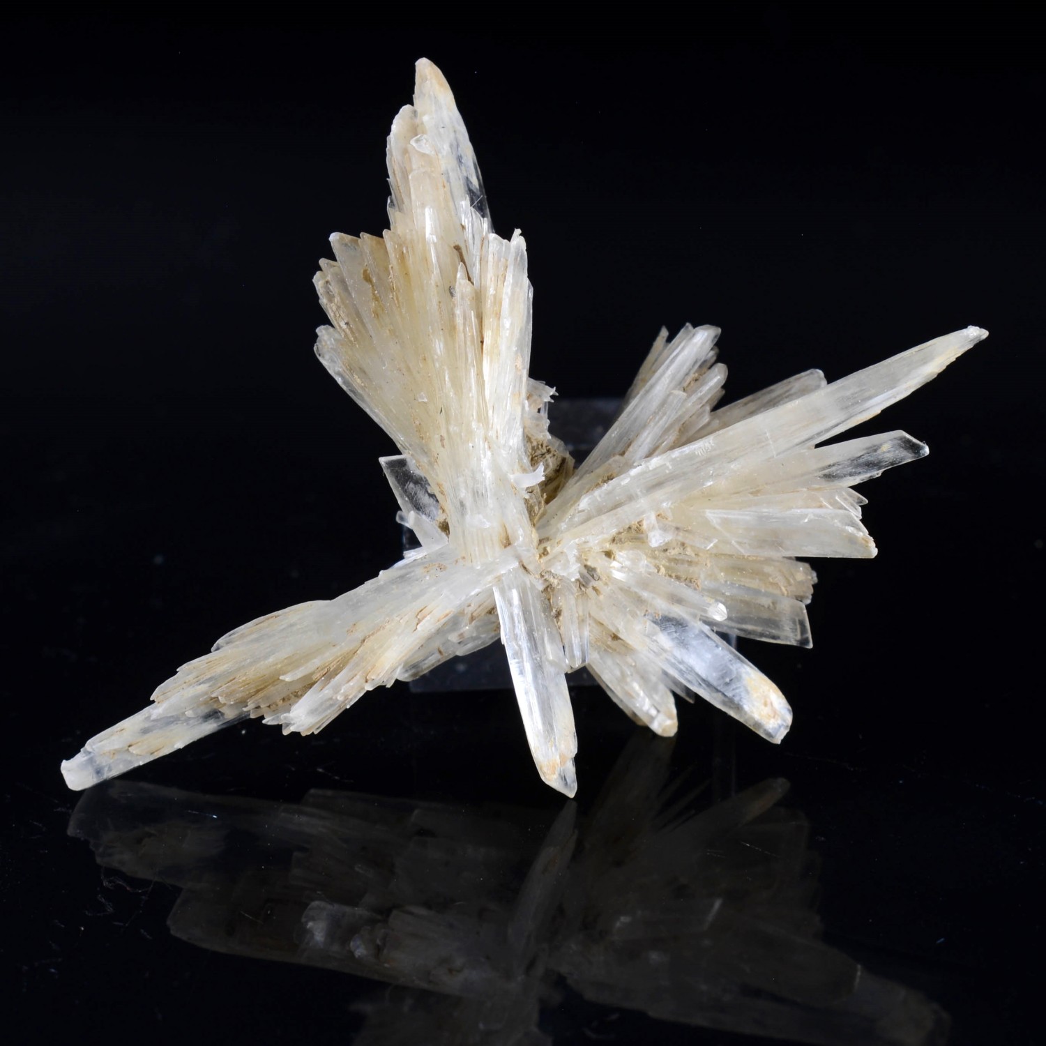 Gypsum - Angervilliers, Essonne, France