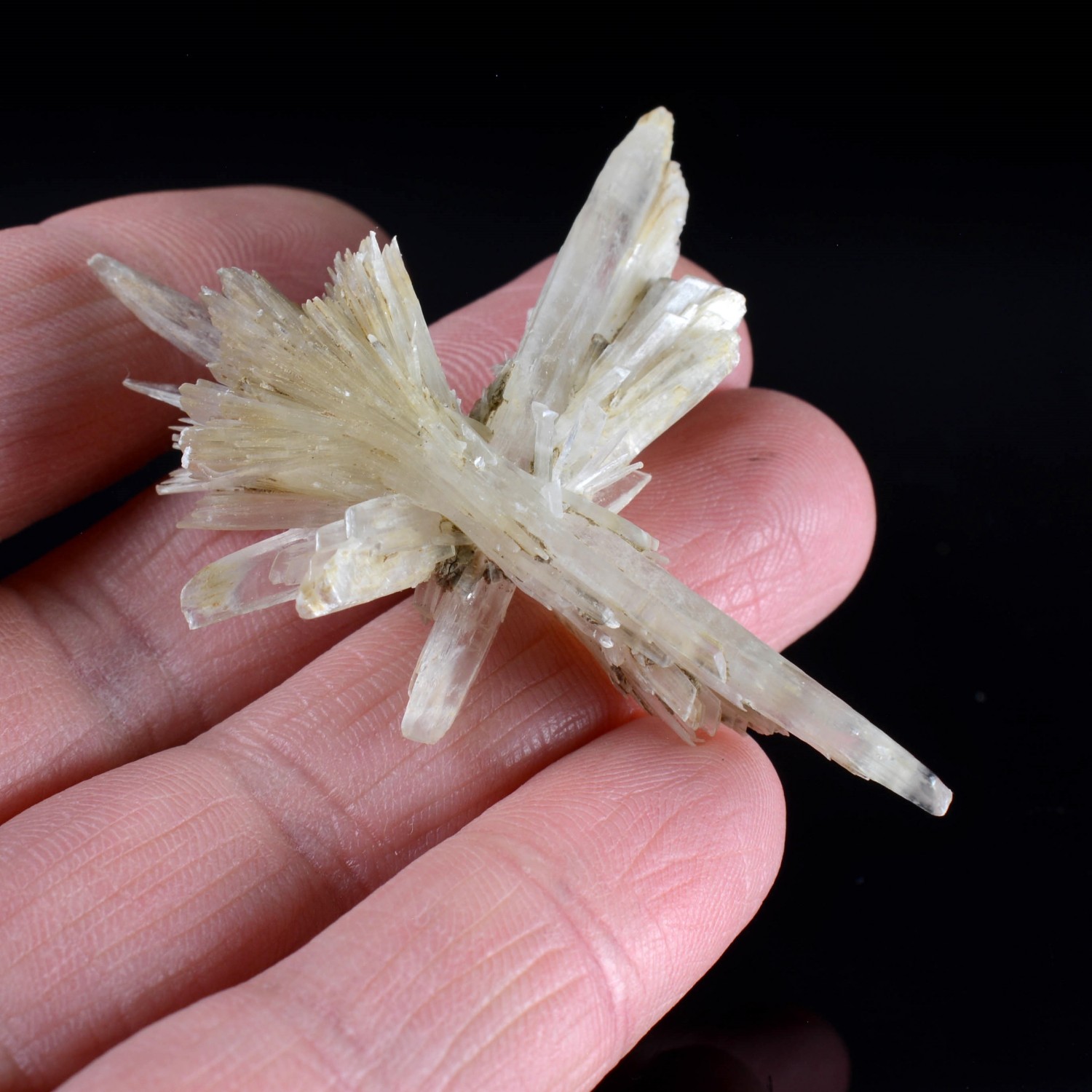 Gypsum - Angervilliers, Essonne, France