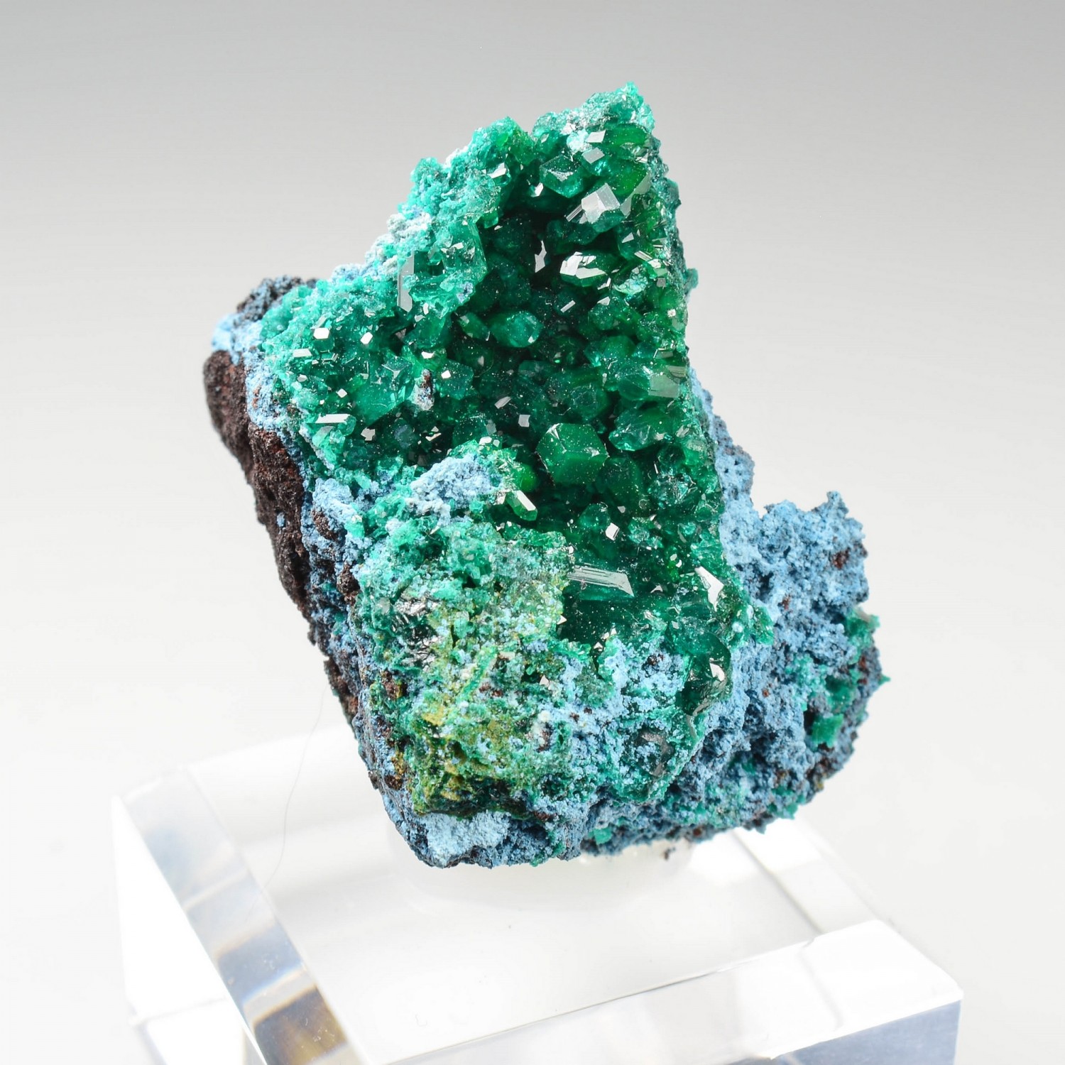 Dioptase - Brazzaville, Republic of Congo