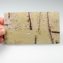 Picture stone - Guangxi province, China