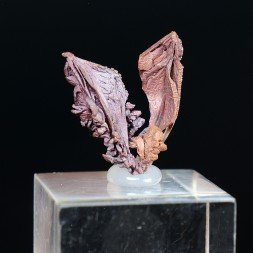 Cuive natif - Mine Bou Nahas, Oumjrane, Maroc