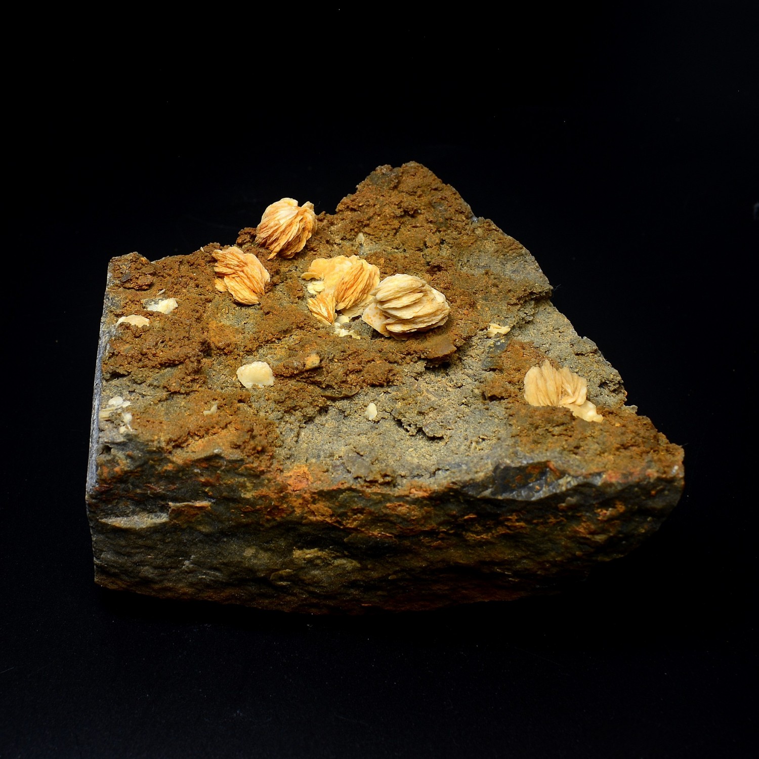 Baryte - Pointe du Payré, Jard-sur-mer, Vendée, France