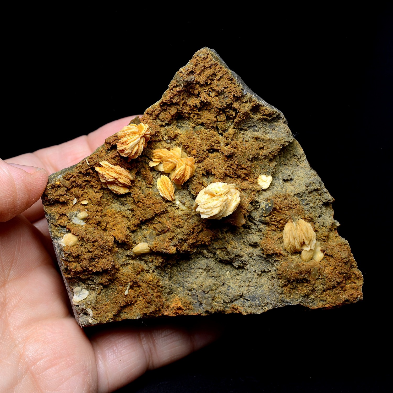 Baryte - Pointe du Payré, Jard-sur-mer, Vendée, France