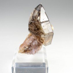 Quartz fumé - Mooralla, Etat du Victoria, Australie