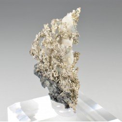 Native silver on calcite - Bouismas Mine, Bou-Azzer, Morocco