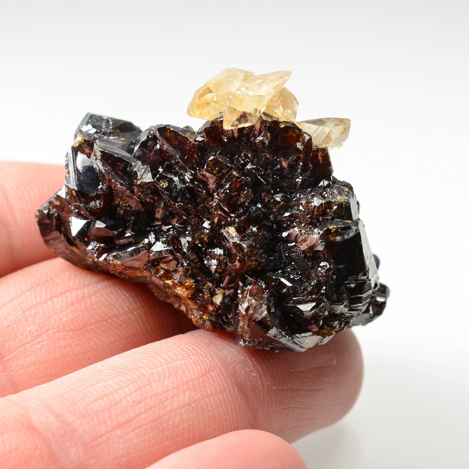 Calcite on sphalerite - Elmwood mine, Tennessee, United States