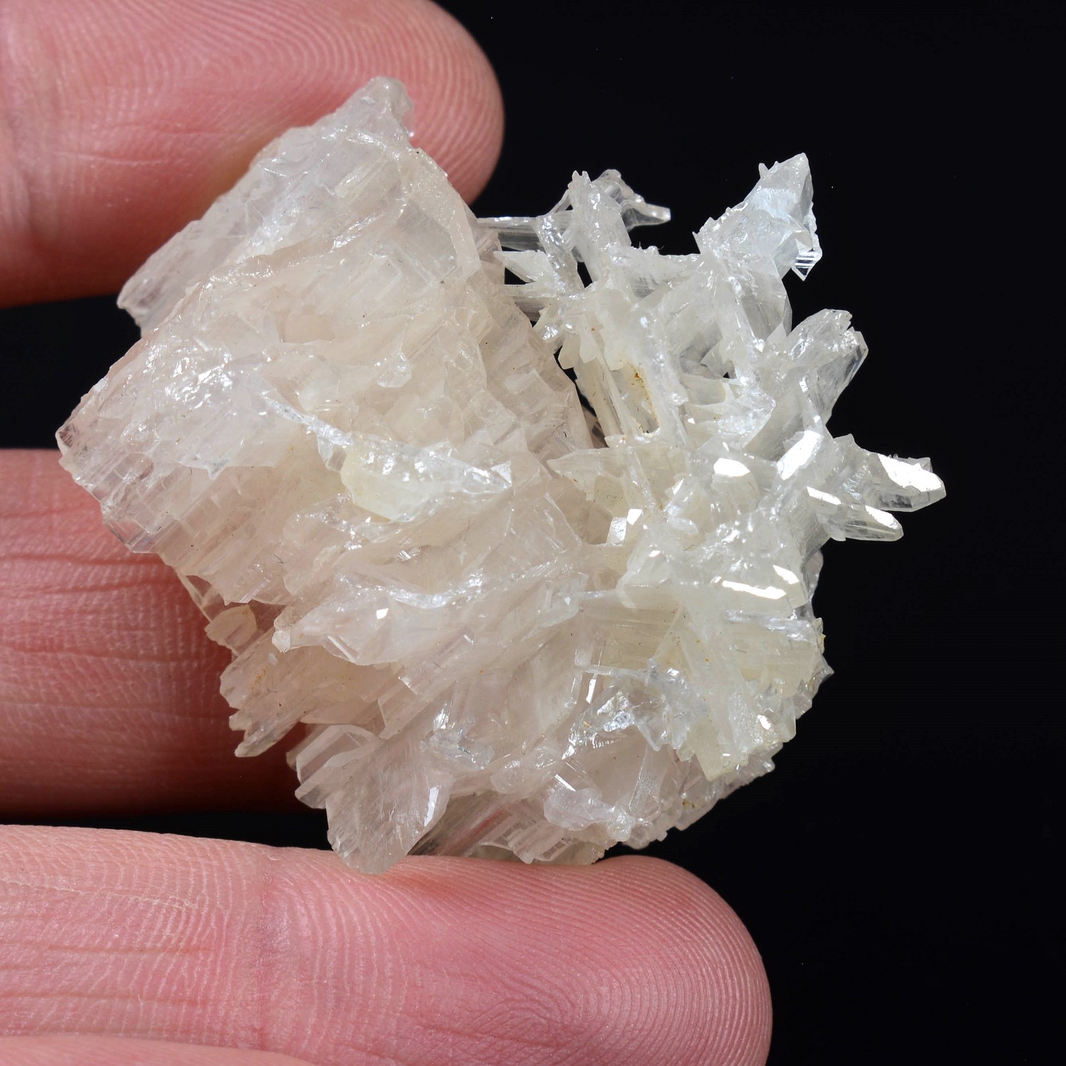 Reticulated cerussite - Nakhlak mine, Isfahan province, Persia