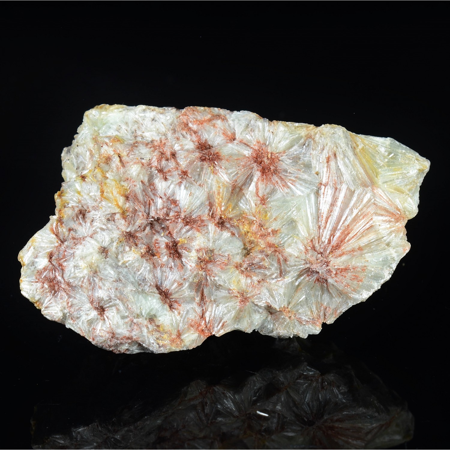 Pyrophyllite - Comté de Randolph, Caroline du Nord, Etats-Unis