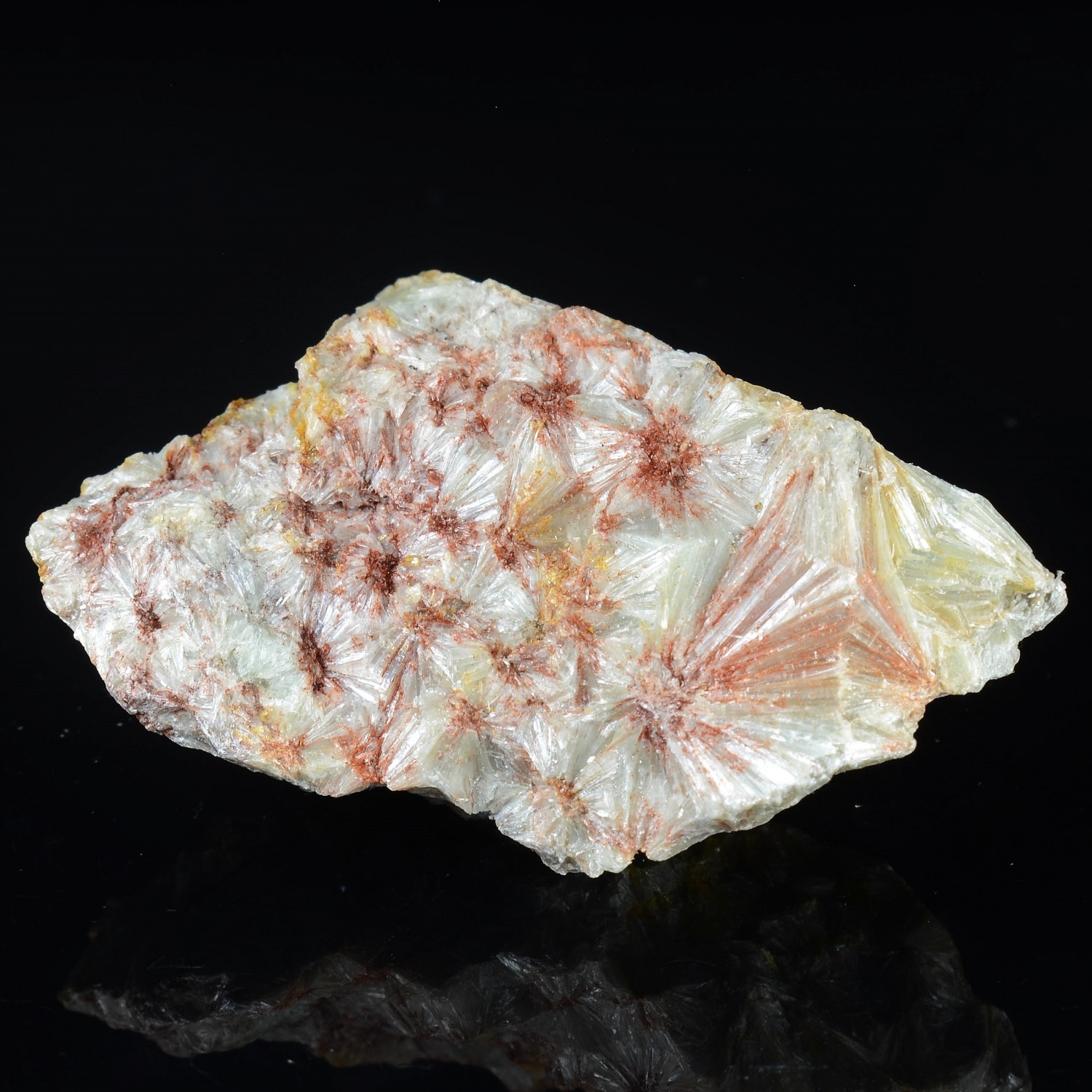 Pyrophyllite - Comté de Randolph, Caroline du Nord, Etats-Unis