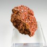 Wulfenite - Jianshan Mine, Xinjiang Region, China