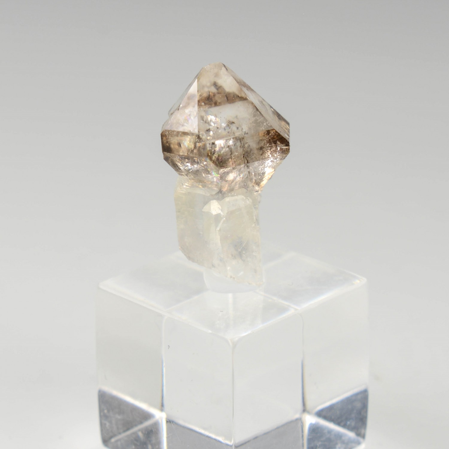 Quartz fumé - Rade de Brest, Finistère, France