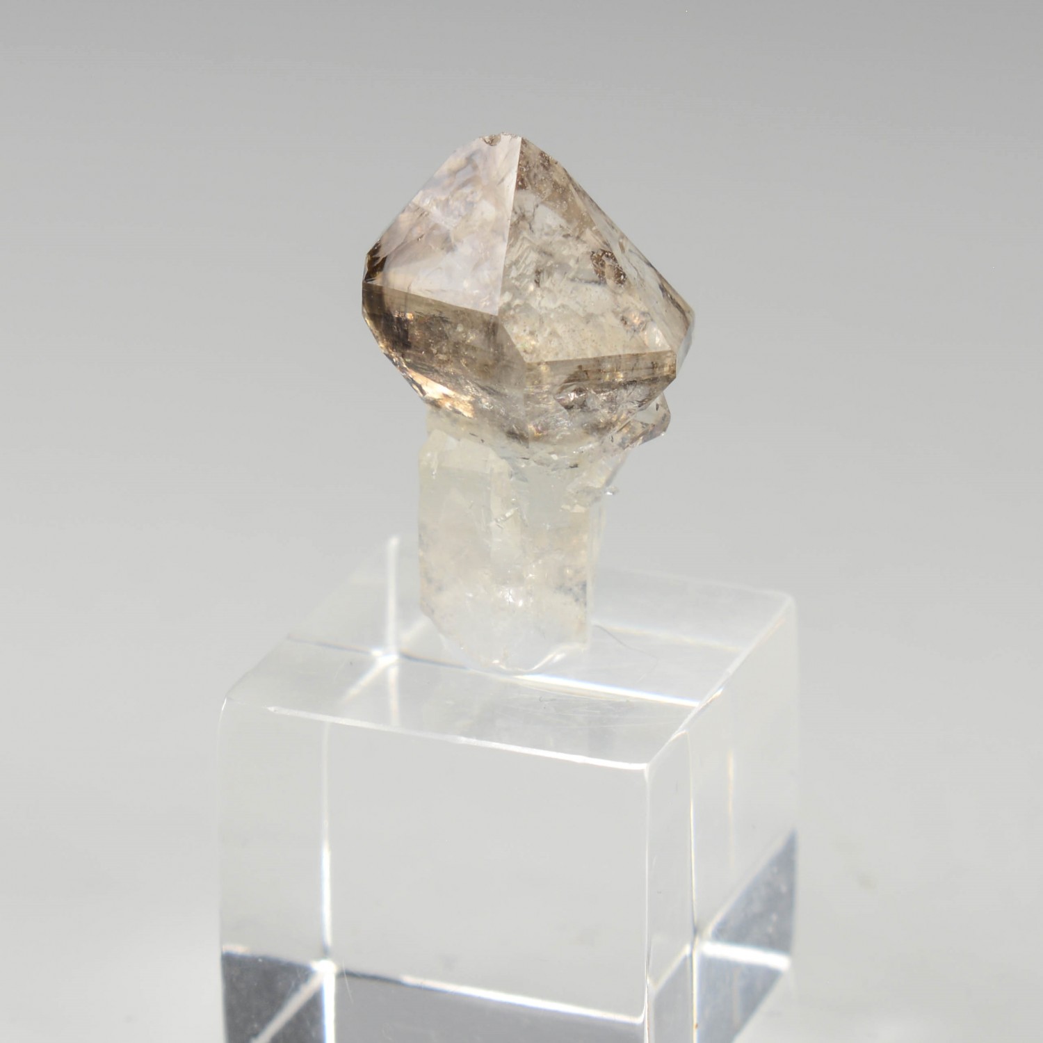 Quartz fumé - Rade de Brest, Finistère, France