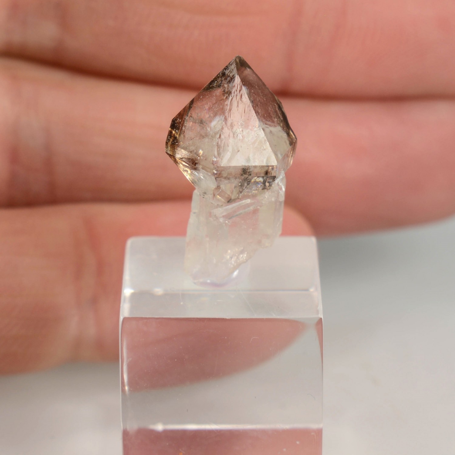 Smoky quartz - Rade de Brest, Finistère, France