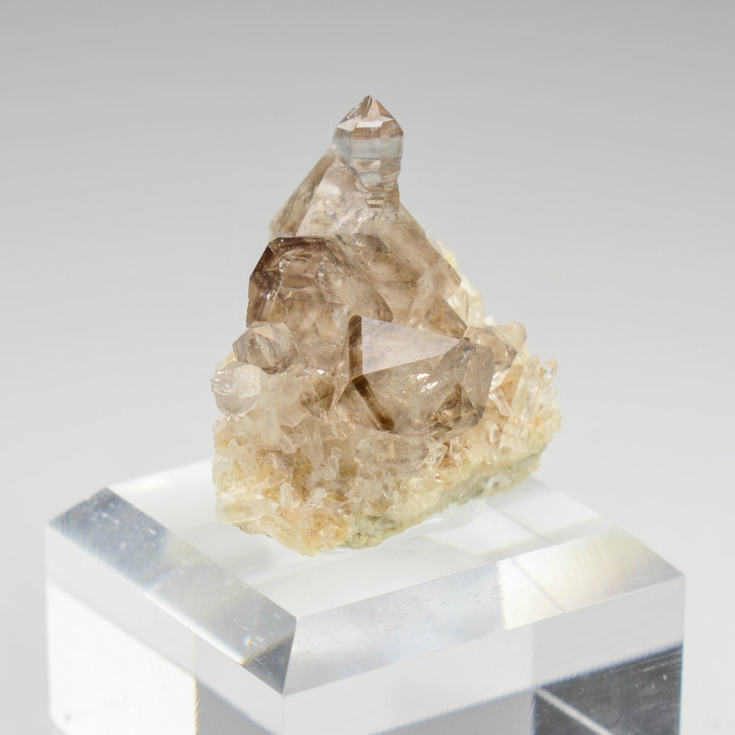 Smoky quartz on quartz - Rade de Brest, Finistère, France