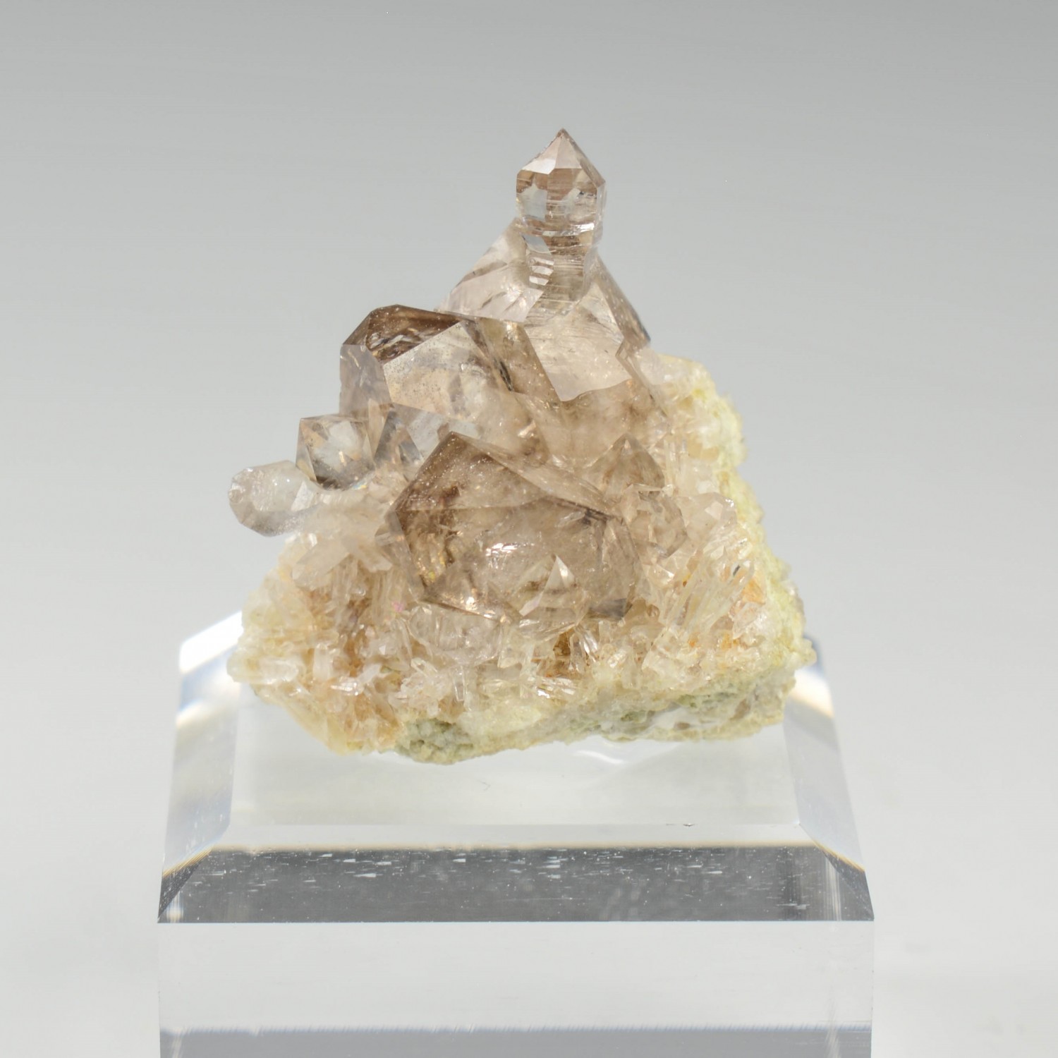 Smoky quartz on quartz - Rade de Brest, Finistère, France