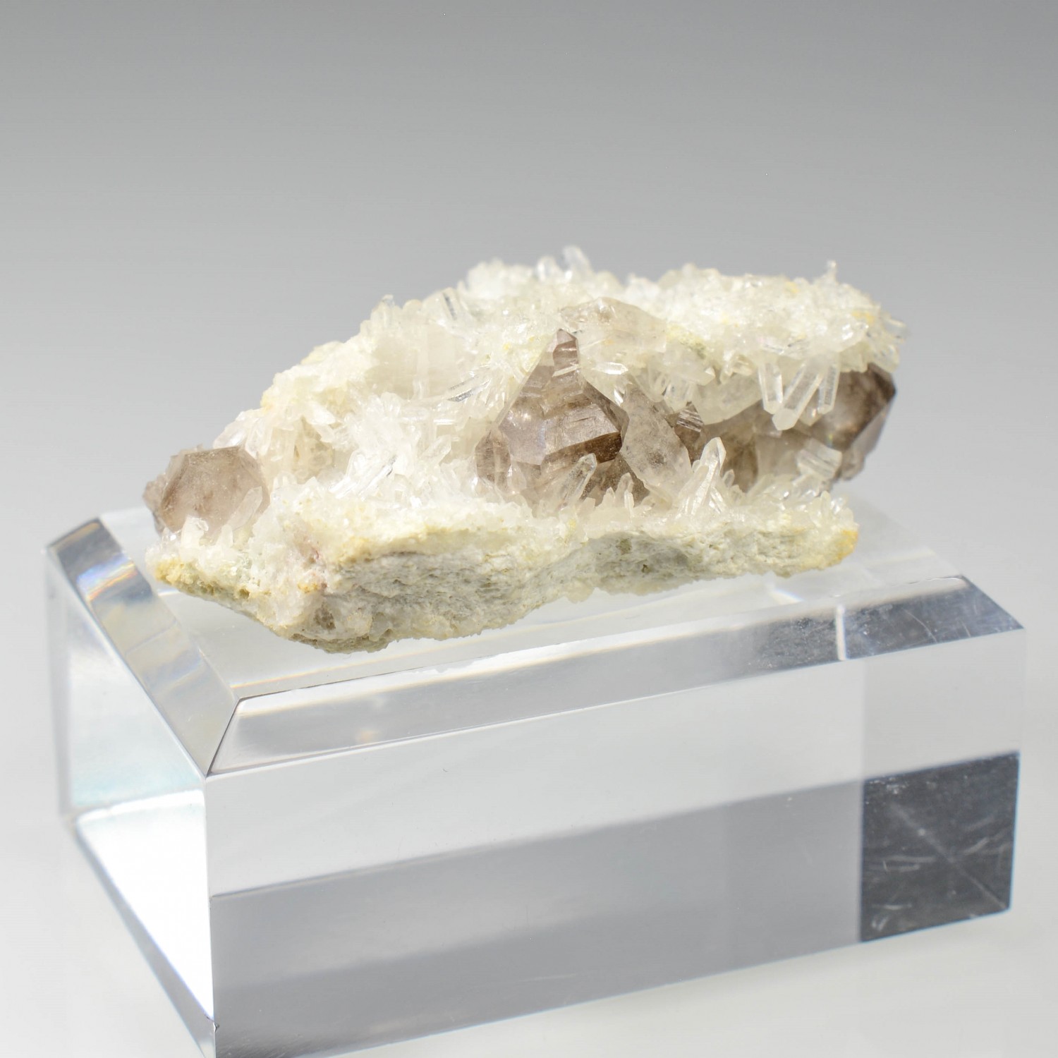 Smoky quartz and quartz - Rade de Brest, Finistère, France